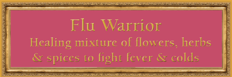 Flu Warrior